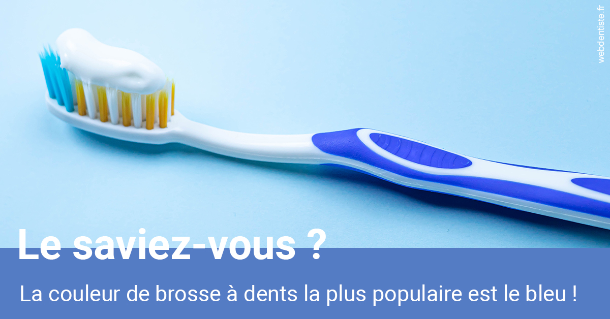 https://www.hygident-oceanis.fr/Couleur de brosse à dents