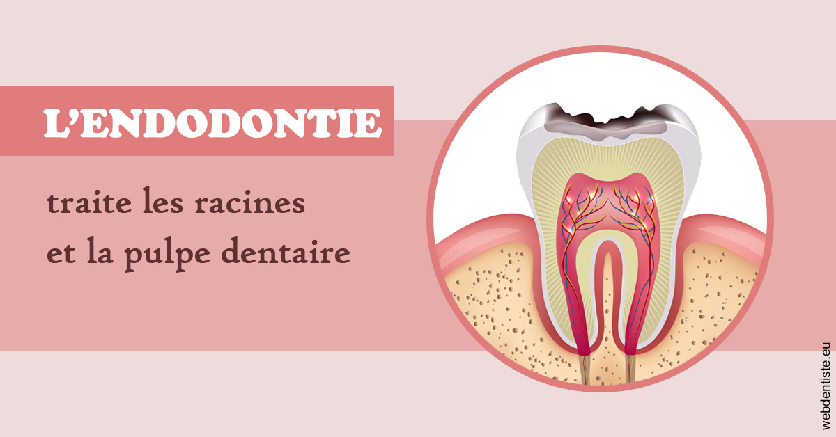 https://www.hygident-oceanis.fr/L'endodontie 2